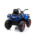 Μπαταρία Buggy Power