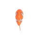 Πτυσσόμενο παιχνίδι μπάνιου Fish K999-209B2